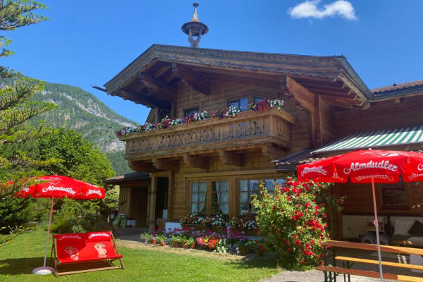 House sit in Sankt Johann in Tirol, Austria