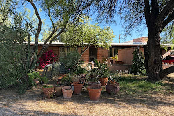 House sit in Tucson, AZ, US