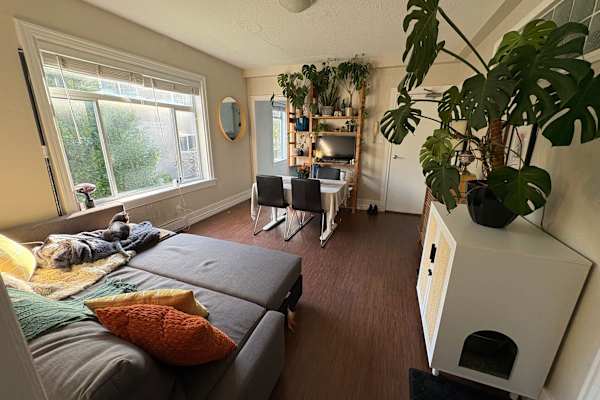 House sit in Vancouver, BC, Canada