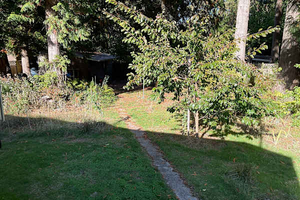 House sit in Point Roberts, WA, US
