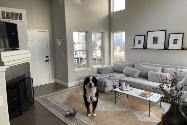 House sit in Highlands Ranch, CO, US