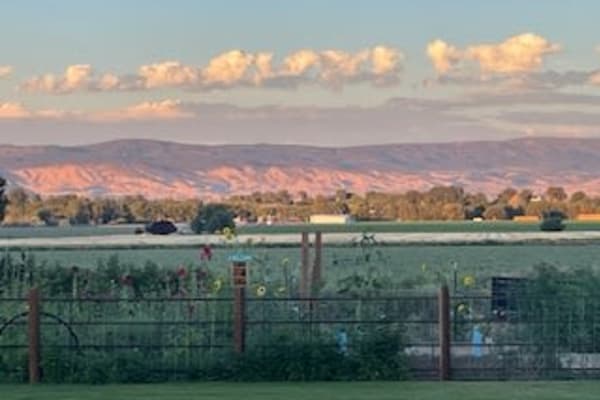 House sit in Montrose, CO, US