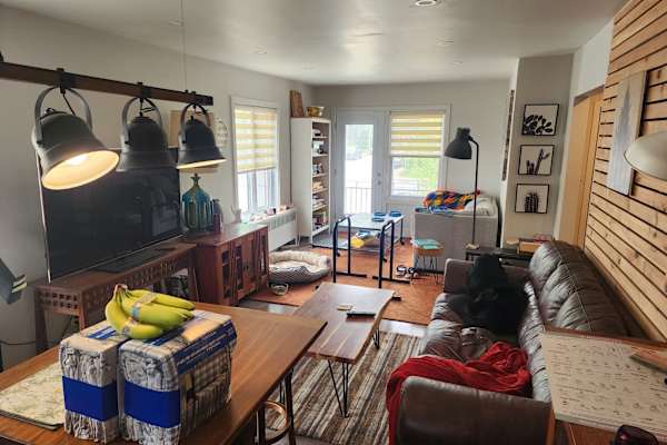 House sit in Montréal, QC, Canada