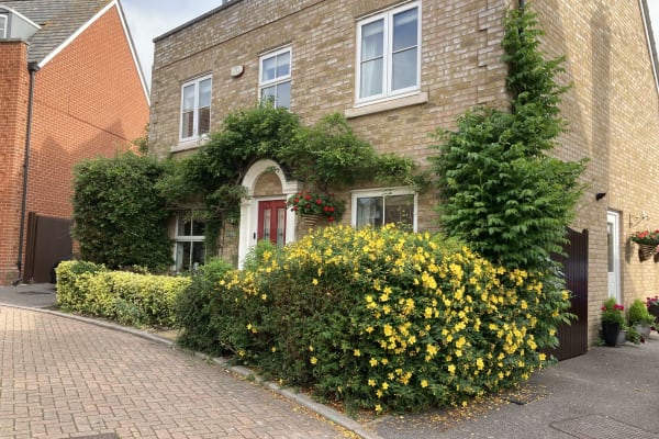 House sit in Chelmsford, United Kingdom