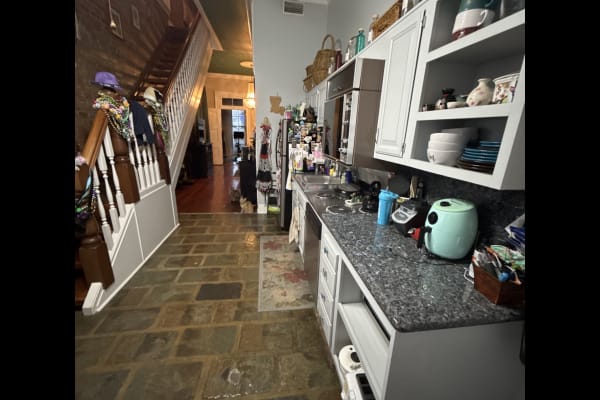 House sit in New Orleans, LA, US
