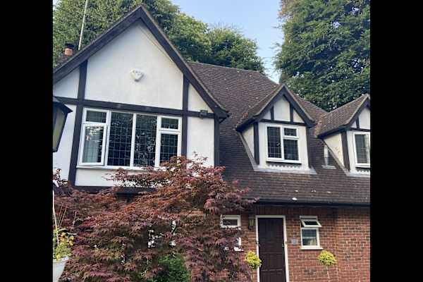 House sit in Camberley, United Kingdom