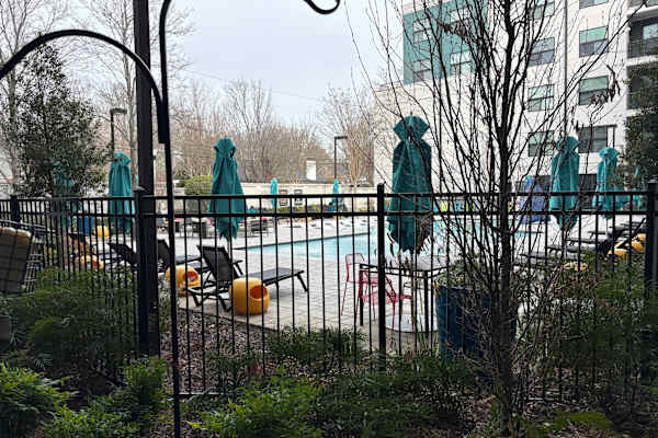 House sit in Decatur, GA, US