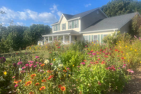 House sit in Weaverville, NC, US