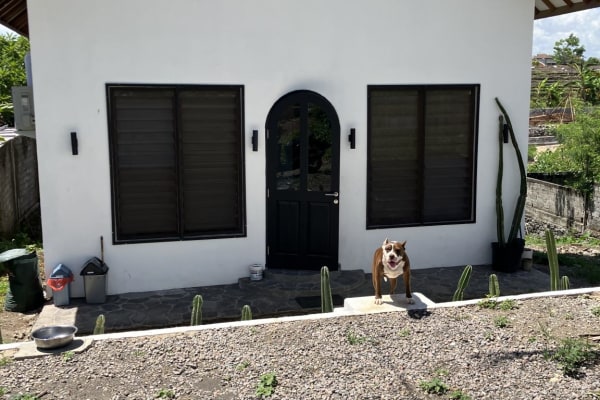 House sit in Canggu, Indonesia