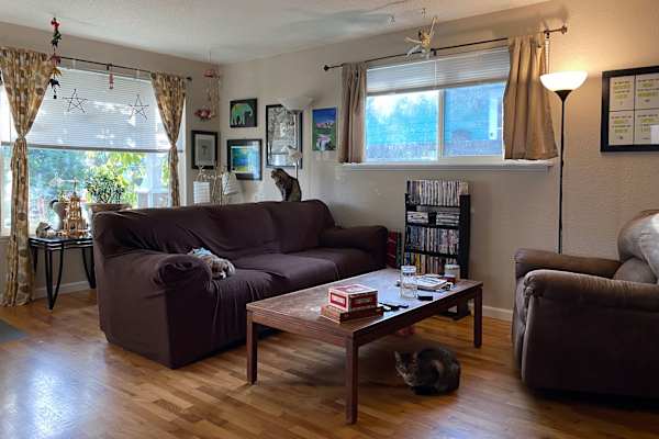 House sit in Tacoma, WA, US