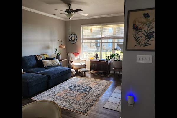 House sit in Fort Worth, TX, US