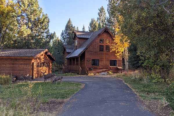 House sit in Truckee, CA, US