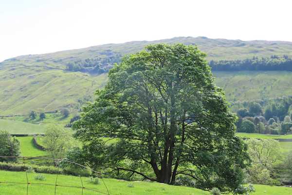 House sit in Windermere, United Kingdom