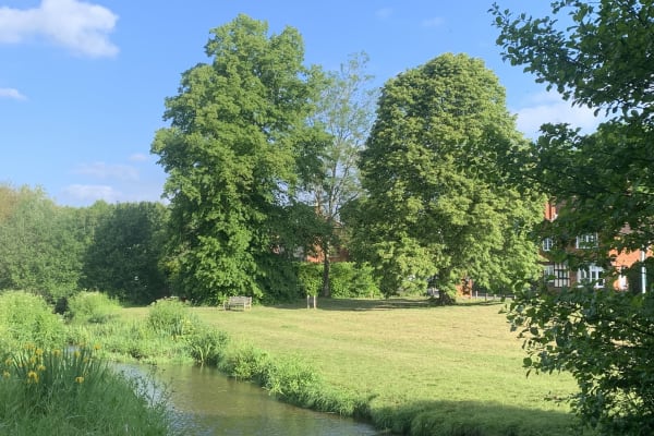 House sit in Abinger Hammer, United Kingdom