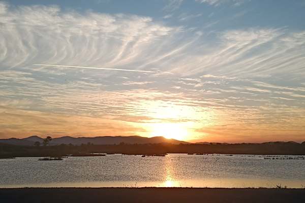 House sit in Emu Park, QLD, Australia