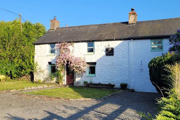 House sit in Aberystwyth, United Kingdom