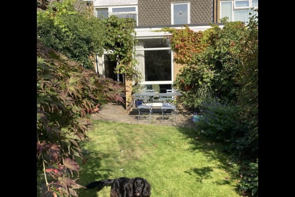 House sit in Richmond, United Kingdom