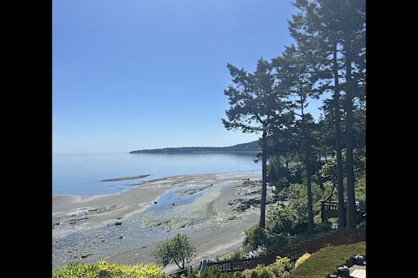 House sit in Victoria, BC, Canada