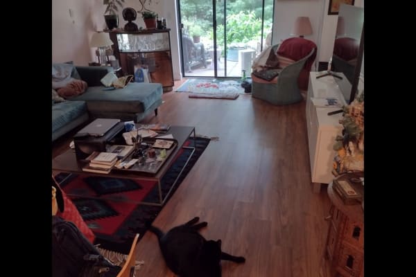 House sit in Milton, MA, US