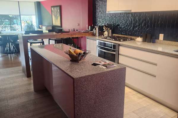 House sit in Mexico City, Mexico