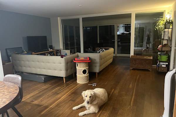 House sit in Oberwil, Switzerland