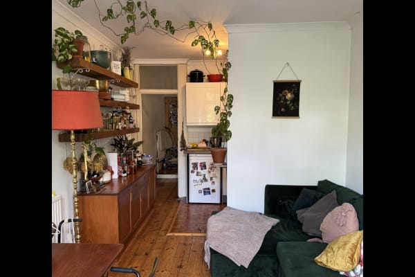 House sit in Walthamstow, United Kingdom