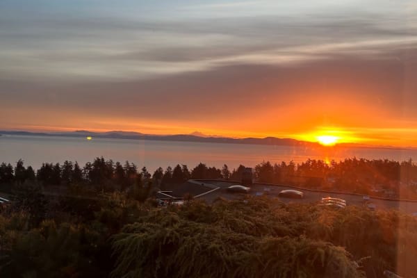 House sit in Victoria, BC, Canada