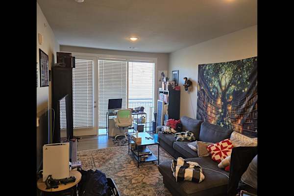 House sit in Colorado Springs, CO, US