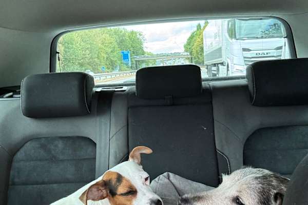 House sit in Dorchester on Thames, United Kingdom