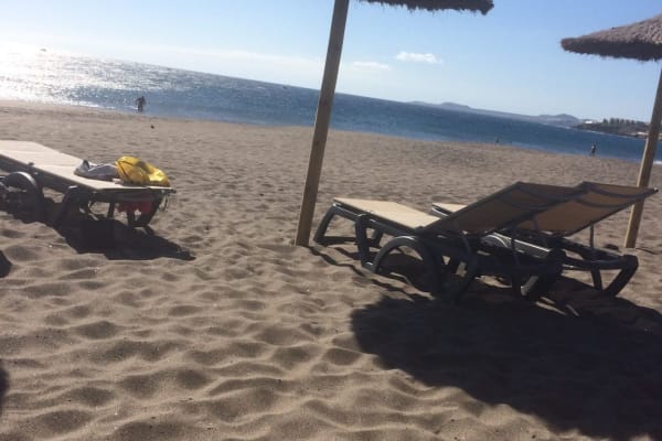 House sit in Santa Cruz de Tenerife, Spain