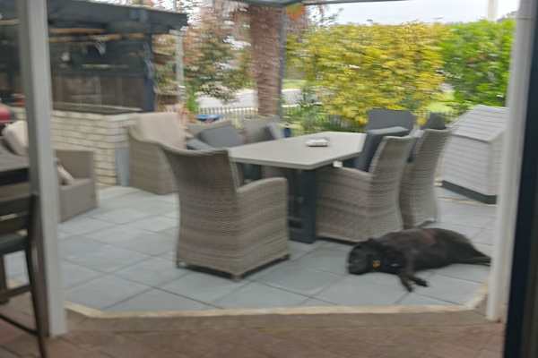 House sit in Whitianga, New Zealand