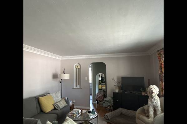 House sit in Wheat Ridge, CO, US