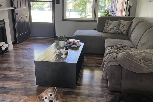 House sit in Lexington-Fayette, KY, US