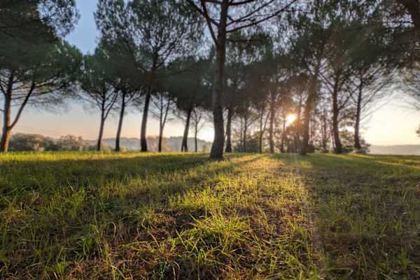 House sit in Peccioli, Italy