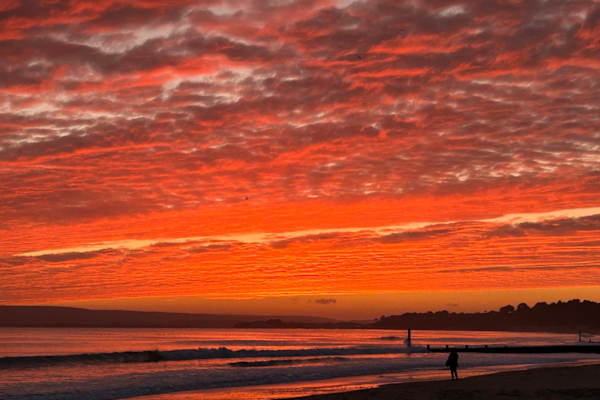 House sit in Bournemouth, United Kingdom