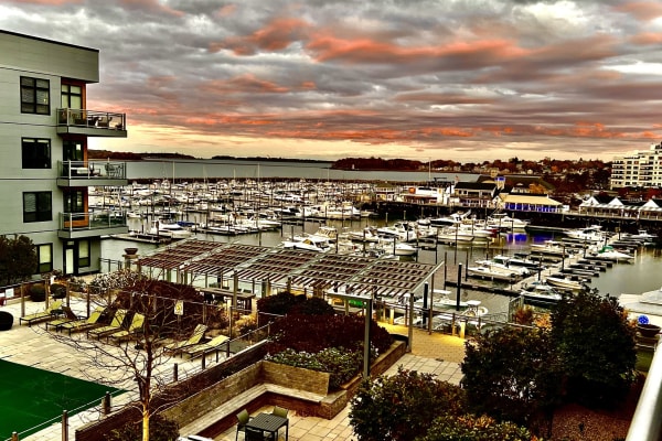 House sit in Quincy, MA, US