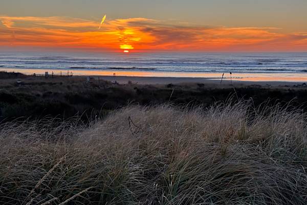 House sit in Westport, WA, US