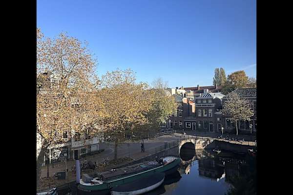 House sit in Amsterdam, Netherlands