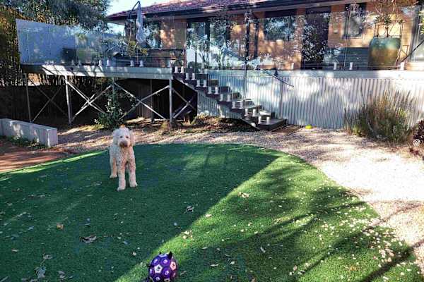 House sit in Canberra, Australian Capital Territory, Australia