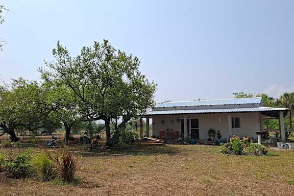 House sit in Tonalá, Mexico