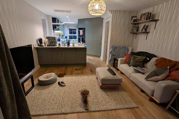 House sit in Exeter, United Kingdom