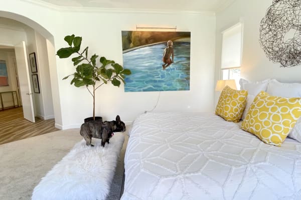 House sit in Palm Springs, CA, US