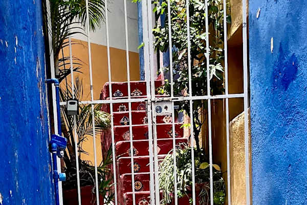 House sit in Guanajuato, Mexico