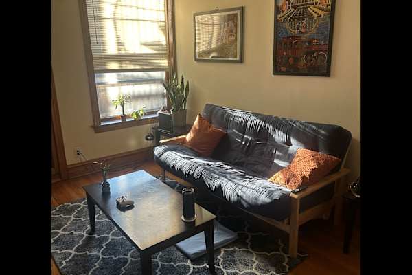 House sit in Chicago, IL, US