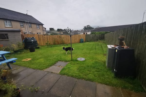 House sit in Ballycastle, United Kingdom