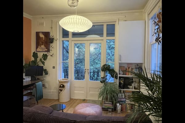 House sit in London, United Kingdom