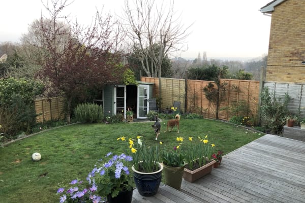 House sit in Dibden, United Kingdom