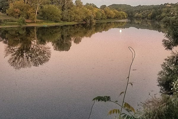 House sit in Flaujagues, France