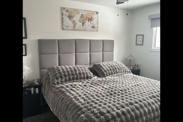 House sit in Brandon, MB, Canada