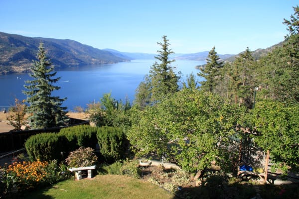 House sit in Kelowna, BC, Canada